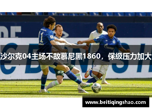 沙尔克04主场不敌慕尼黑1860，保级压力加大