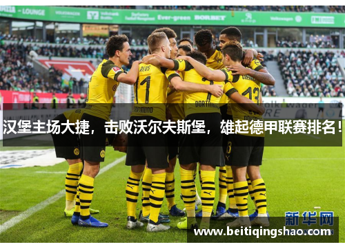 汉堡主场大捷，击败沃尔夫斯堡，雄起德甲联赛排名！